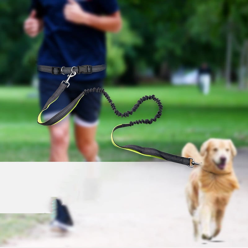 Dog Walking Belt with Detachable Shockproof Leash
